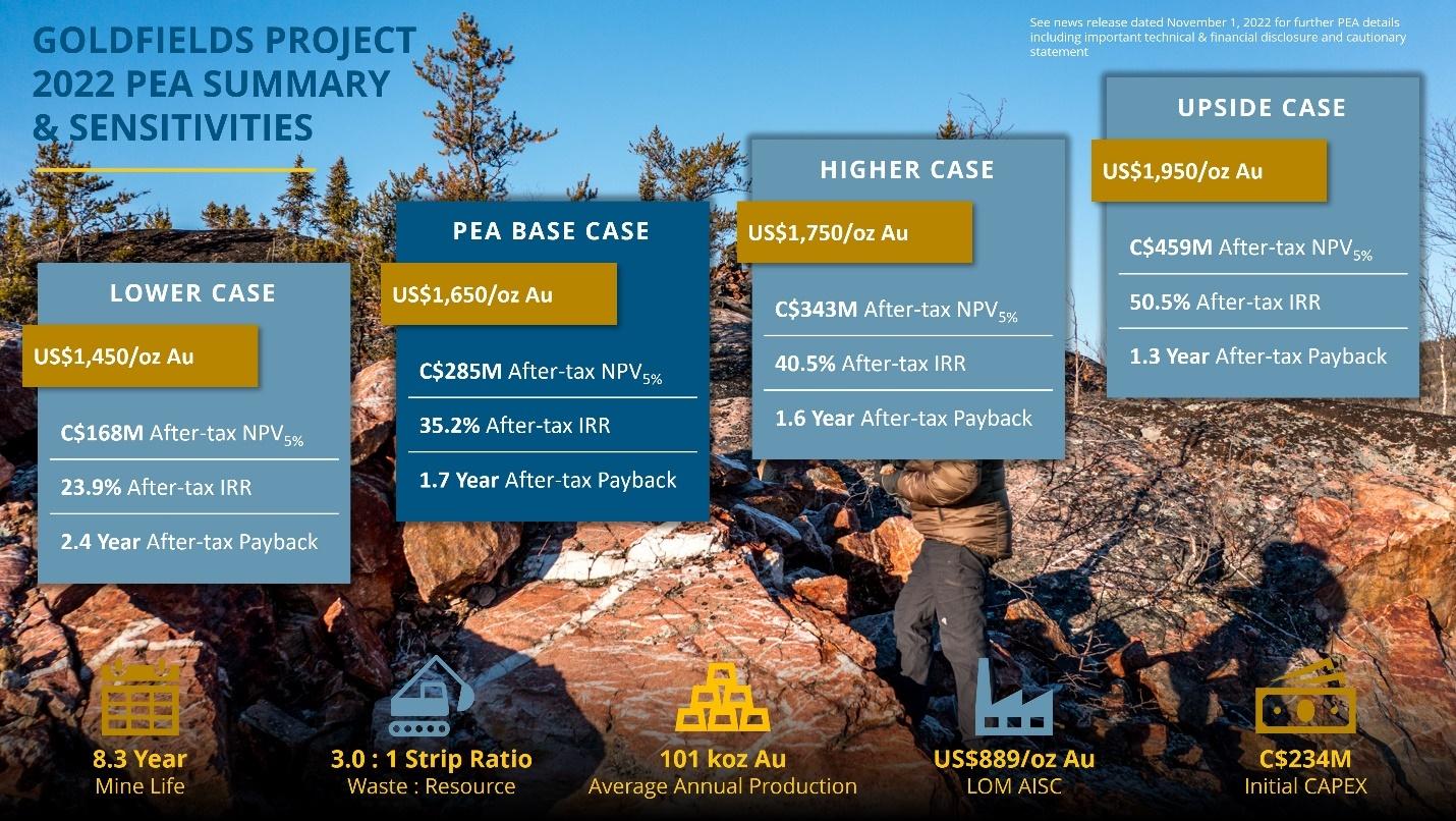 Goldfields Project Summary